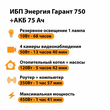 ИБП для котла Энергия Гарант 750 + Аккумулятор 75 Ач 12 В (450Вт - 91мин) - ИБП и АКБ - ИБП для котлов - . Магазин оборудования для автономного и резервного электропитания Ekosolar.ru в Казани